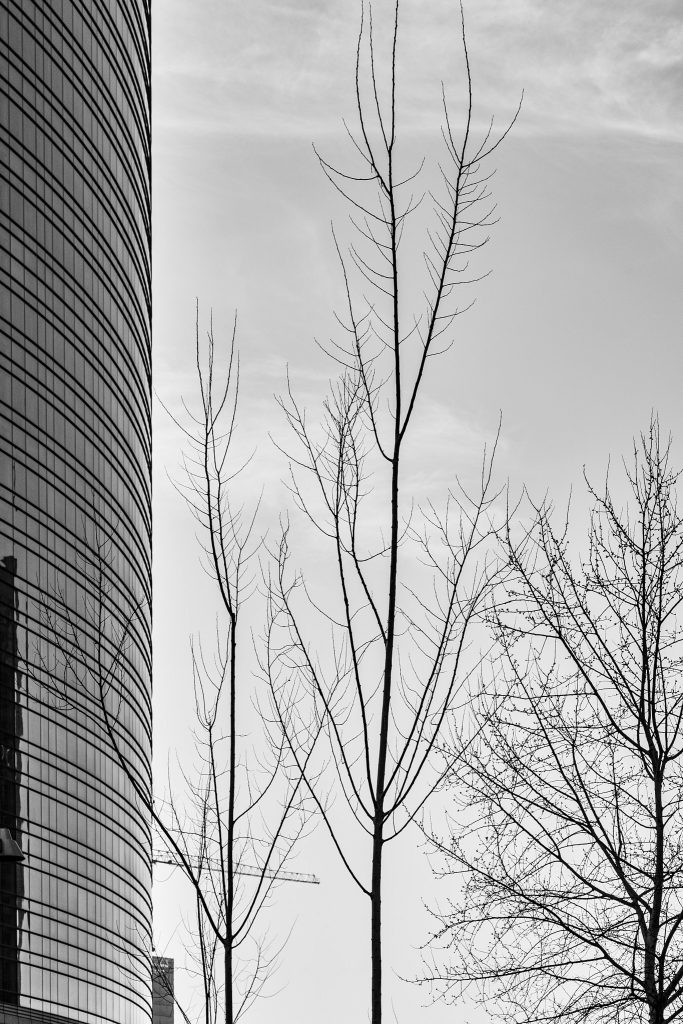Skyscrapers trees rand eflections in Milan Porta Nuova business district. Italy