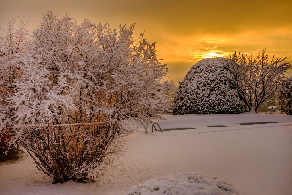 Sunset garden and trees under the snow
